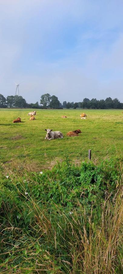 Ferienwohnung Matzibarg Ahrenviol Luaran gambar
